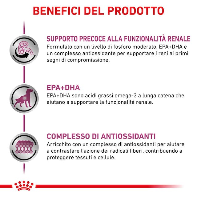 Royal Canin Early Renal - Straccetti in Salsa per Cane 12x100gr Royal Canin Early Renal - Straccetti in Salsa per Cane 12x100gr